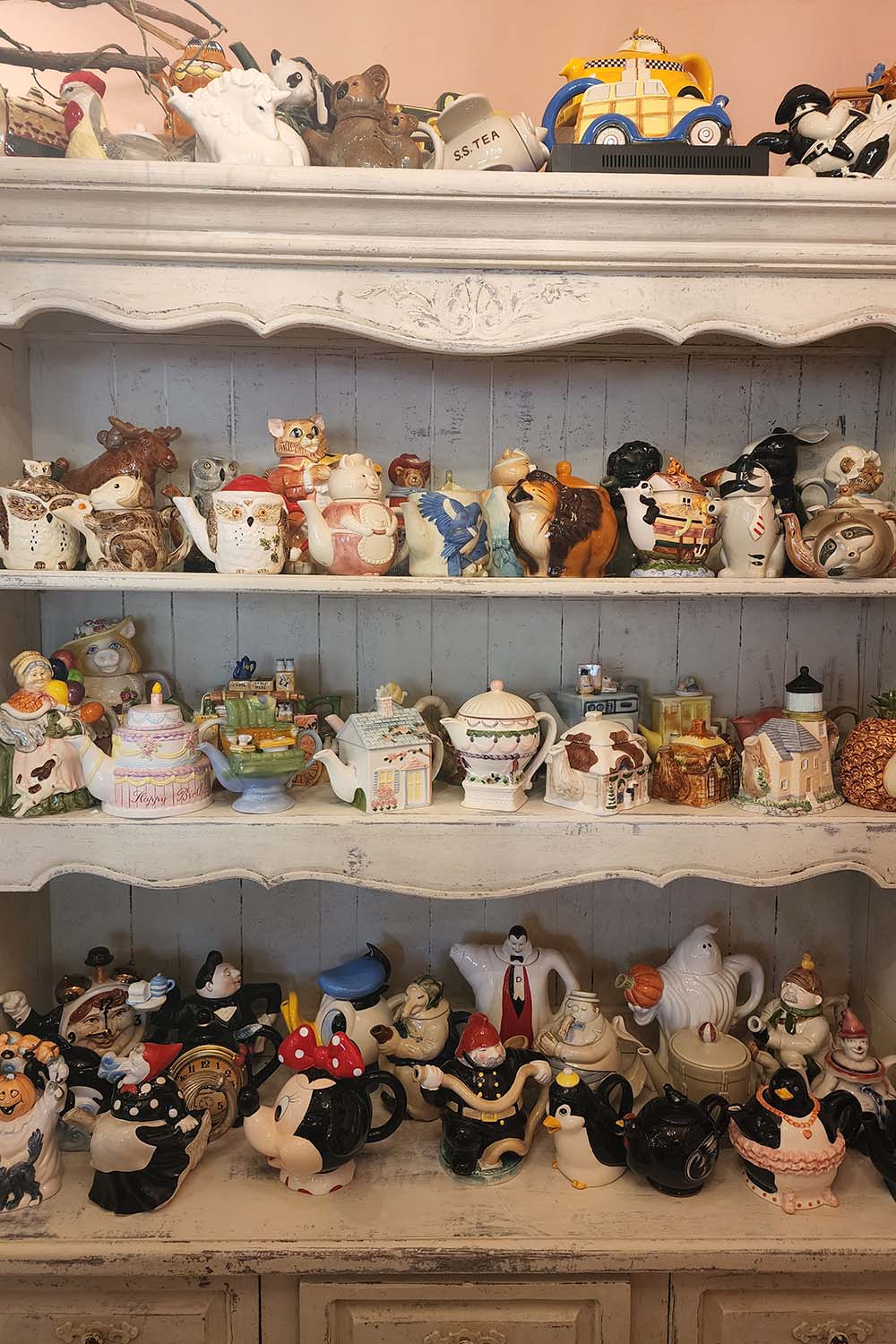 english rose tea room teapot collection